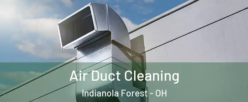 Air Duct Cleaning Indianola Forest - OH