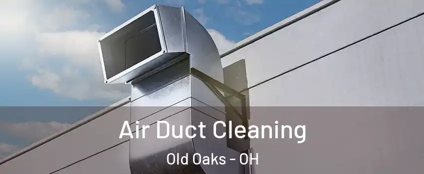 Air Duct Cleaning Old Oaks - OH