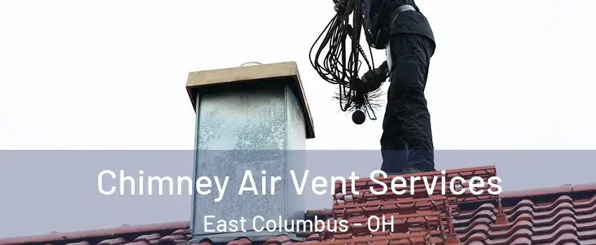 Chimney Air Vent Services East Columbus - OH