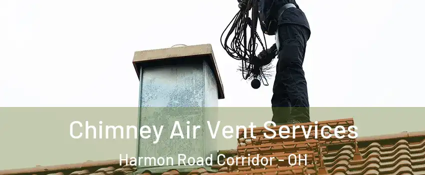 Chimney Air Vent Services Harmon Road Corridor - OH