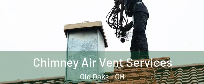 Chimney Air Vent Services Old Oaks - OH