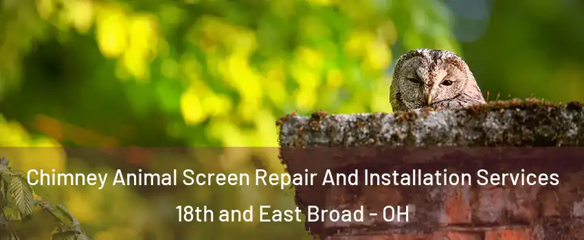 Chimney Animal Screen Repair And Installation Services 18th and East Broad - OH