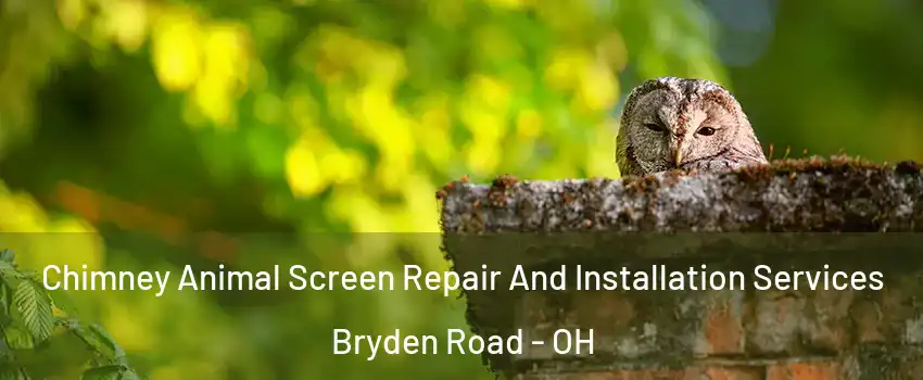 Chimney Animal Screen Repair And Installation Services Bryden Road - OH