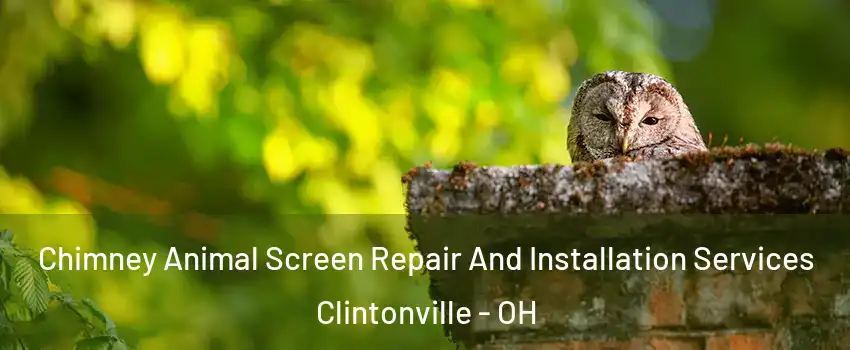 Chimney Animal Screen Repair And Installation Services Clintonville - OH