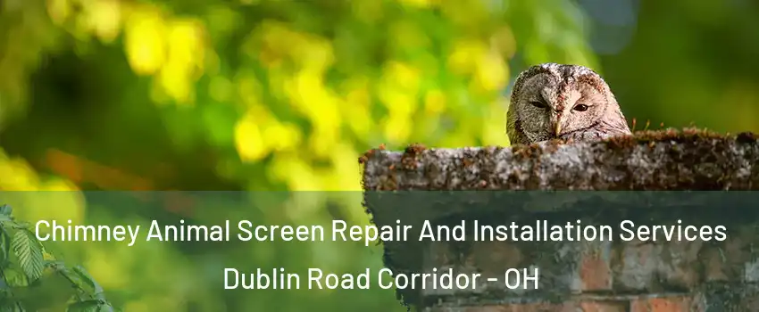 Chimney Animal Screen Repair And Installation Services Dublin Road Corridor - OH