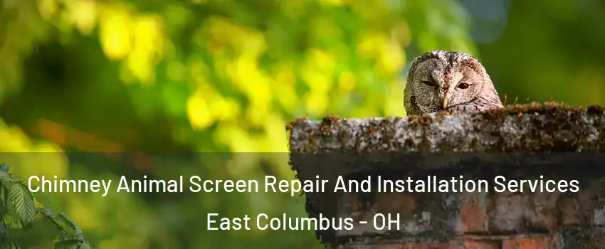 Chimney Animal Screen Repair And Installation Services East Columbus - OH