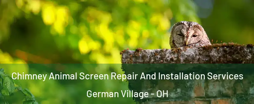 Chimney Animal Screen Repair And Installation Services German Village - OH