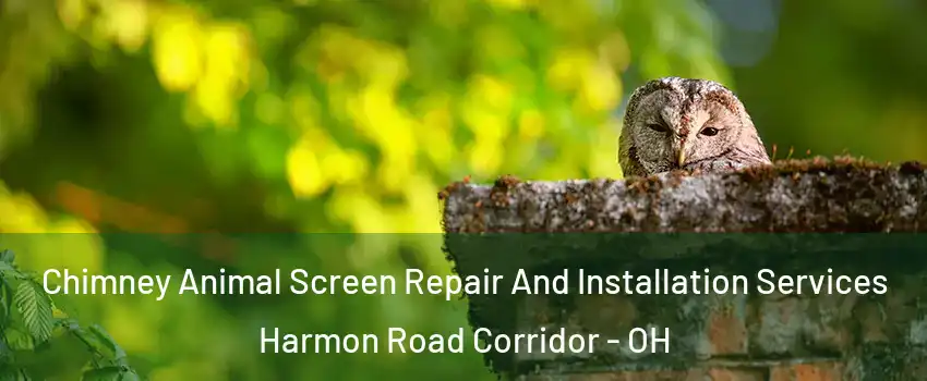 Chimney Animal Screen Repair And Installation Services Harmon Road Corridor - OH