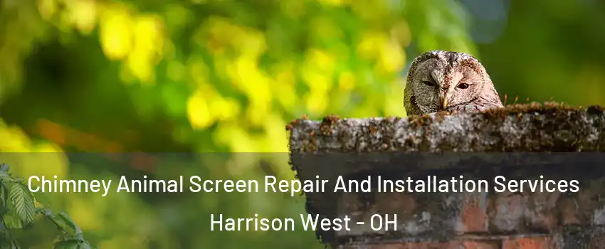 Chimney Animal Screen Repair And Installation Services Harrison West - OH