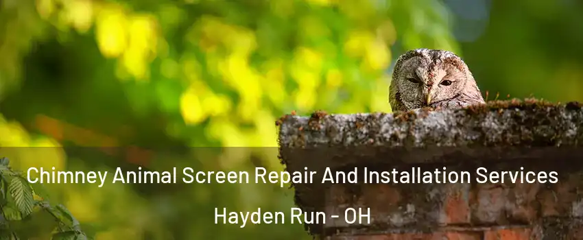 Chimney Animal Screen Repair And Installation Services Hayden Run - OH