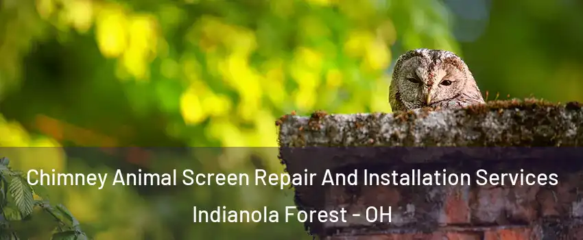 Chimney Animal Screen Repair And Installation Services Indianola Forest - OH