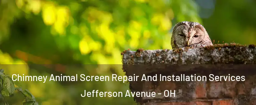 Chimney Animal Screen Repair And Installation Services Jefferson Avenue - OH