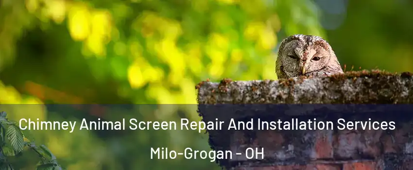 Chimney Animal Screen Repair And Installation Services Milo-Grogan - OH