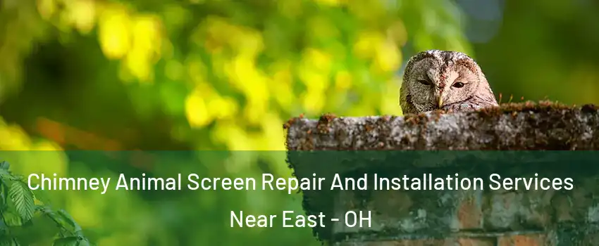 Chimney Animal Screen Repair And Installation Services Near East - OH