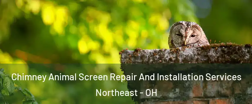 Chimney Animal Screen Repair And Installation Services Northeast - OH