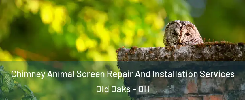 Chimney Animal Screen Repair And Installation Services Old Oaks - OH