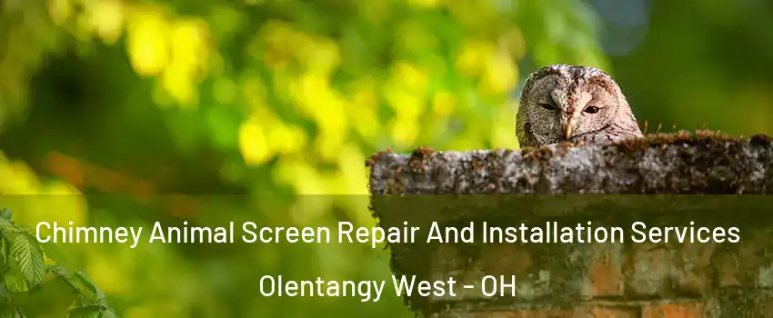 Chimney Animal Screen Repair And Installation Services Olentangy West - OH