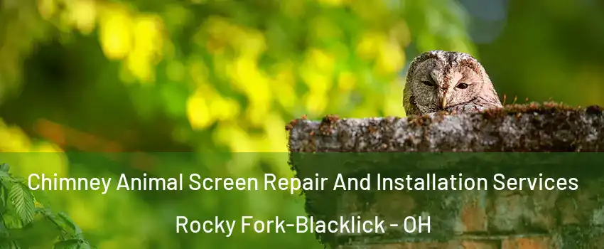 Chimney Animal Screen Repair And Installation Services Rocky Fork-Blacklick - OH