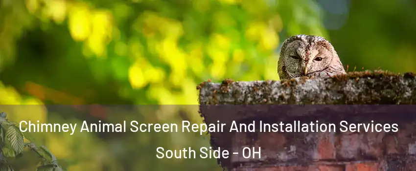 Chimney Animal Screen Repair And Installation Services South Side - OH