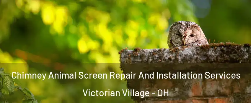 Chimney Animal Screen Repair And Installation Services Victorian Village - OH