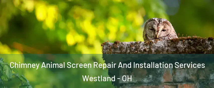 Chimney Animal Screen Repair And Installation Services Westland - OH