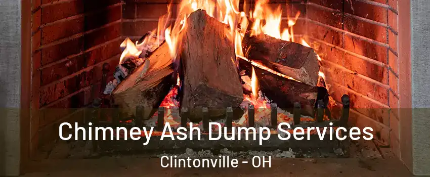 Chimney Ash Dump Services Clintonville - OH