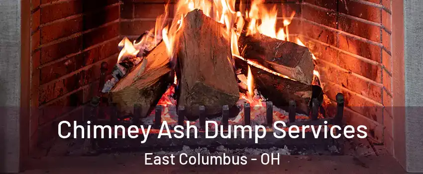 Chimney Ash Dump Services East Columbus - OH