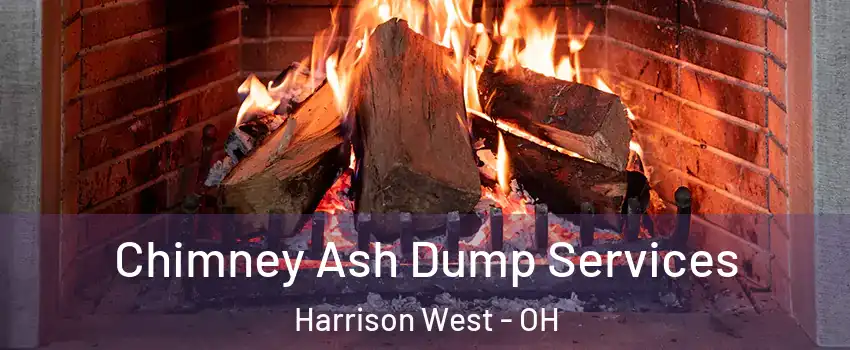 Chimney Ash Dump Services Harrison West - OH