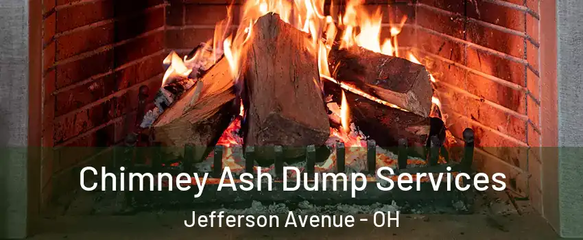 Chimney Ash Dump Services Jefferson Avenue - OH