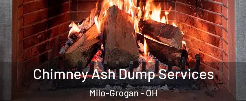 Chimney Ash Dump Services Milo-Grogan - OH