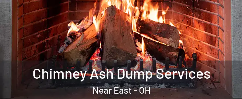 Chimney Ash Dump Services Near East - OH