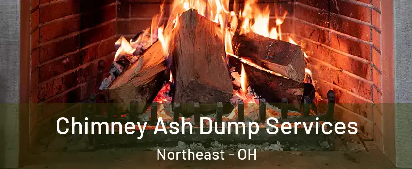 Chimney Ash Dump Services Northeast - OH