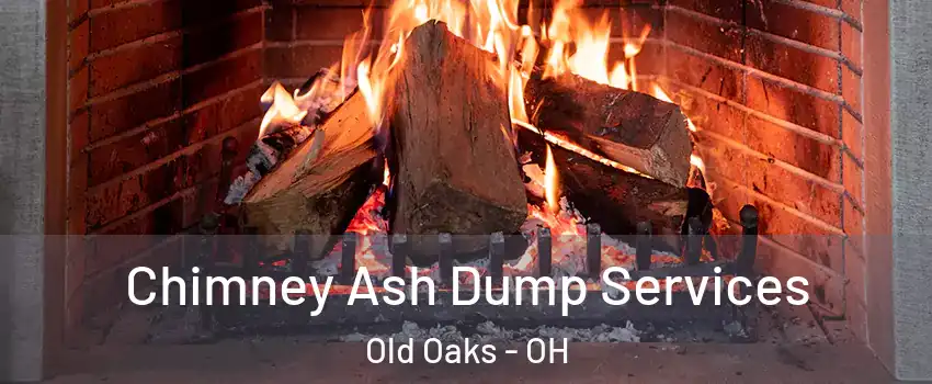 Chimney Ash Dump Services Old Oaks - OH