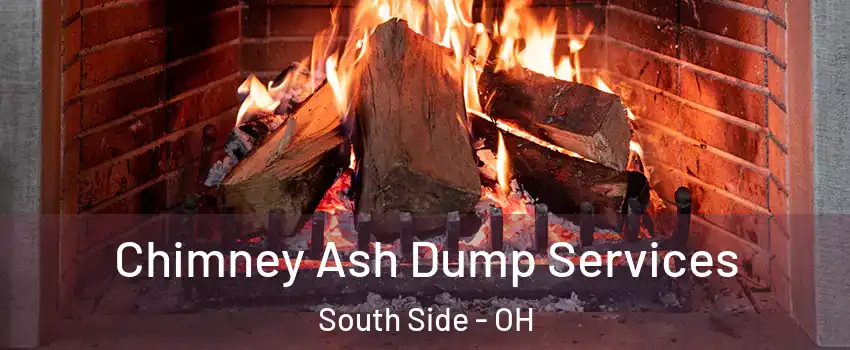 Chimney Ash Dump Services South Side - OH