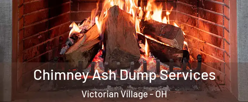 Chimney Ash Dump Services Victorian Village - OH