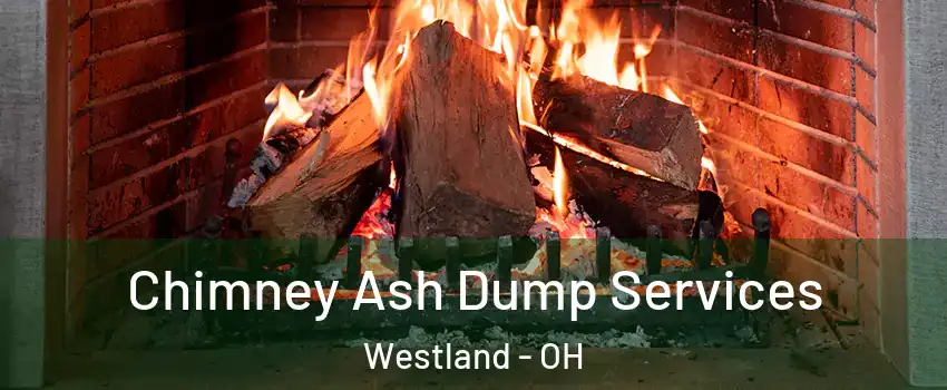 Chimney Ash Dump Services Westland - OH