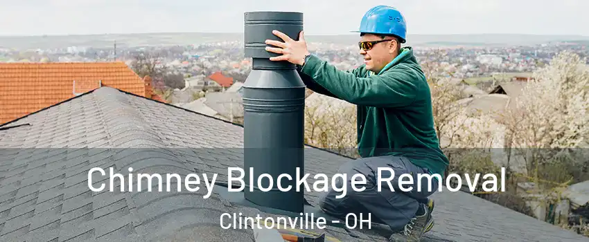 Chimney Blockage Removal Clintonville - OH