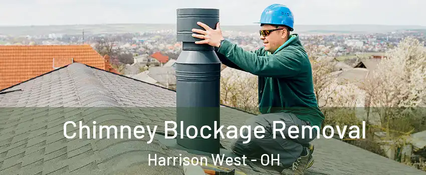 Chimney Blockage Removal Harrison West - OH