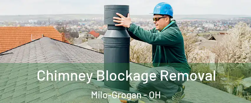 Chimney Blockage Removal Milo-Grogan - OH