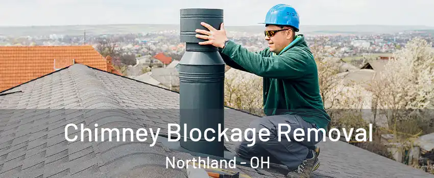 Chimney Blockage Removal Northland - OH