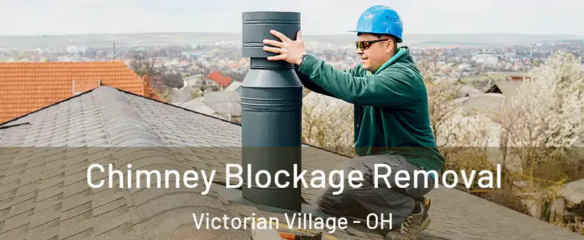 Chimney Blockage Removal Victorian Village - OH