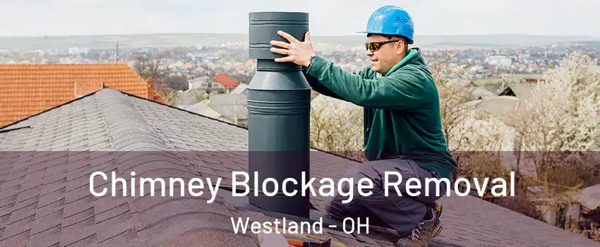 Chimney Blockage Removal Westland - OH