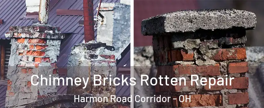 Chimney Bricks Rotten Repair Harmon Road Corridor - OH