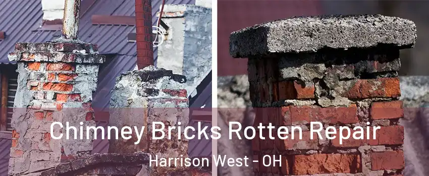 Chimney Bricks Rotten Repair Harrison West - OH