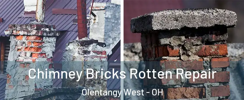 Chimney Bricks Rotten Repair Olentangy West - OH