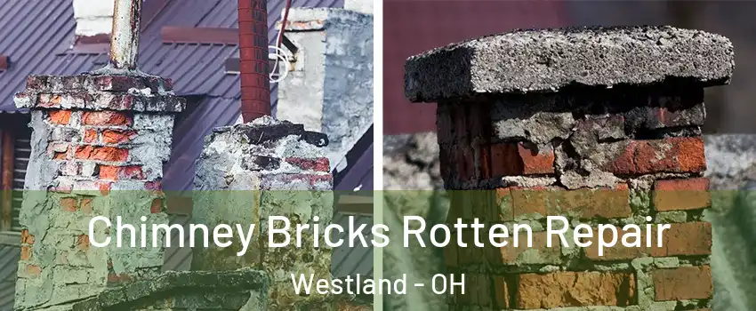 Chimney Bricks Rotten Repair Westland - OH