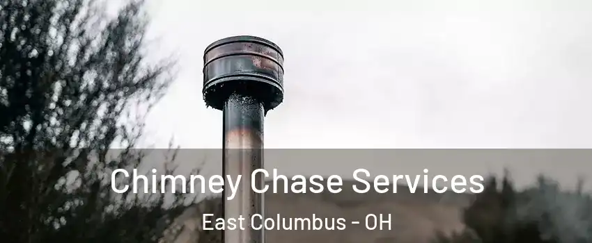 Chimney Chase Services East Columbus - OH