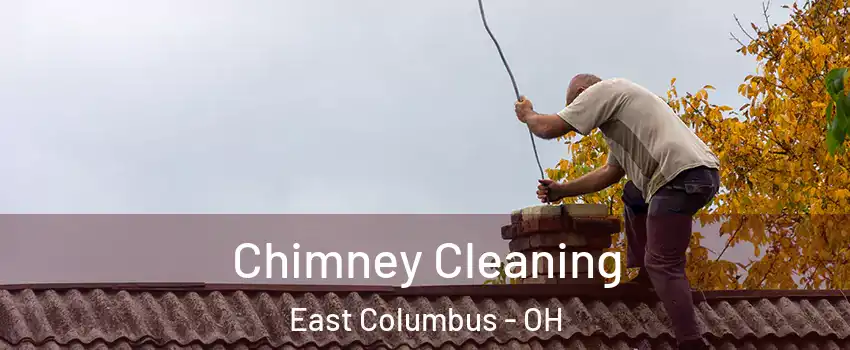 Chimney Cleaning East Columbus - OH