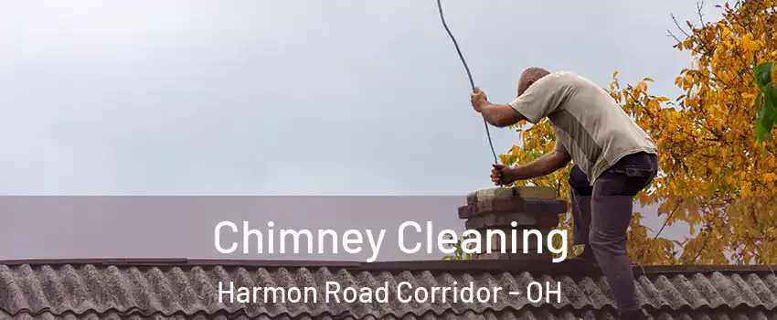 Chimney Cleaning Harmon Road Corridor - OH