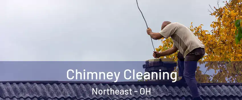 Chimney Cleaning Northeast - OH